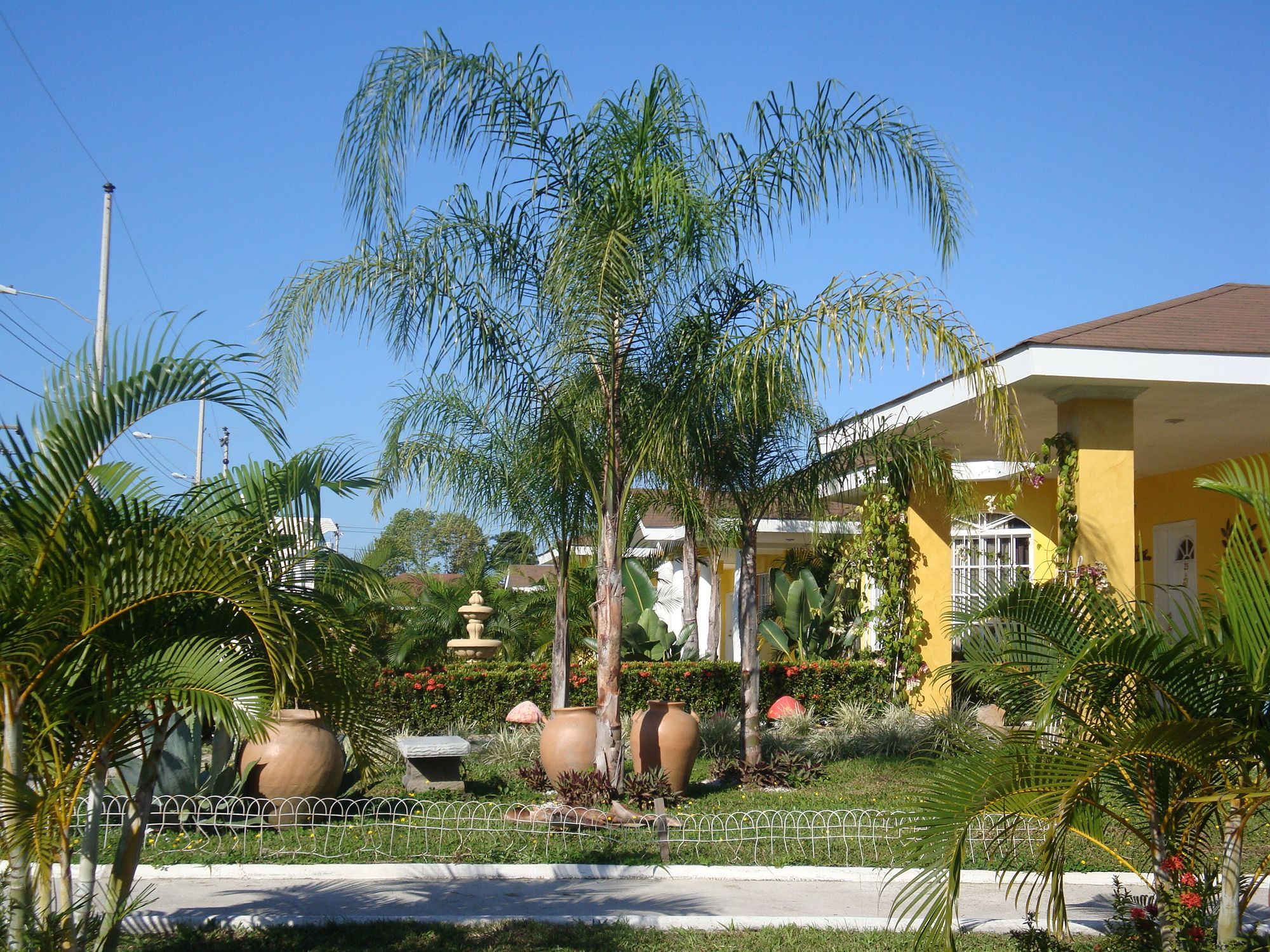 Hotel Palma Real Sambo Creek Bagian luar foto